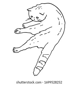 Outline cat lying. Hand drawn contour vector illustration. Cute kitten in funny pose for coloring book page, decoration, cards, banners, veterinary, pet shop, cattery, print