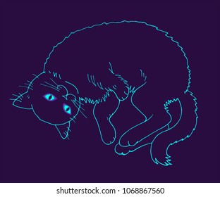 outline of a cat on a dark background