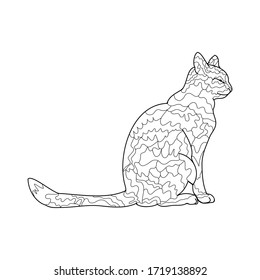 Outline of a cat on a white background, Doodle illustration