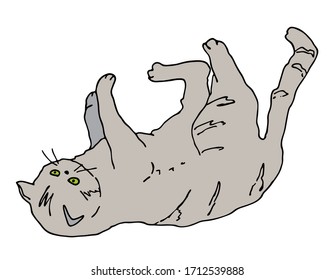 Outline cat playing. Hand drawn colored contour vector illustration. Cute grey kitten lying in funny pose for decoration, cards, banners, veterinary, pet shop, cattery, print