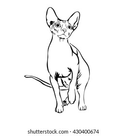 Outline cat sphinx vector illustration. Can be use for logo and tatoo