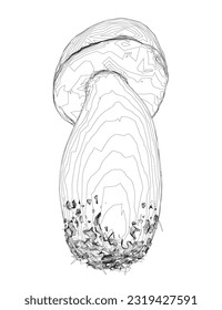 Outline champignon mushrooms Vector illustration drawn, toadstool, fly agaric, white toadstool, contour mushrooms isolated on a white background. Vector icon illustration of mushroom champignon..