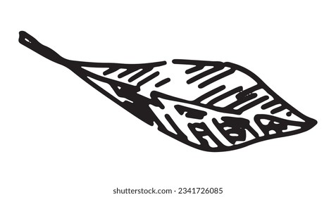 Outline clipart of fallen leaf. Doodle of autumn botany attribute. Hand drawn vector illustration isolated on white background.