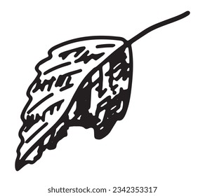Outline clipart of fallen leaf. Doodle of autumn botany attribute. Hand drawn vector illustration isolated on white background.