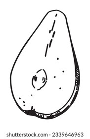 Outline clipart of half a pear fruit. Doodle of autumn garden harvest. Hand drawn vector illustration isolated on white background.