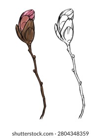 Outline closed flower bud on a thin branch hand drawn vector illustration. Contour magnolia sketch. Unopened big pink burgeon. Unblown spring tree. Line element for summer print, fabric, cloth design