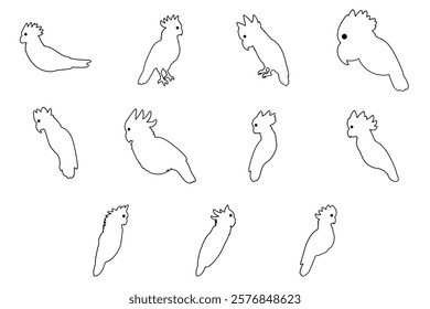 Outline Cockatoo Illustration Design Set