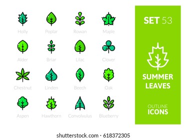 Outline color icons set in thin modern design style, flat line stroke vector symbols - summer leaves collection