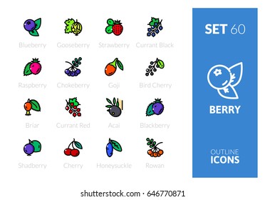 Outline color icons set in thin modern design style, flat line stroke vector symbols - berry collection