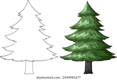 Outline and colored drawing of pine trees