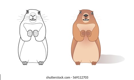 Outline and colored groundhog. Vector illustration marmot.