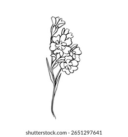outline coloring outline of wild flowers vector
