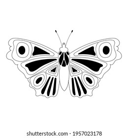 Cuadros de contorno de mariposa con elementos negros. Aislado sobre fondo blanco