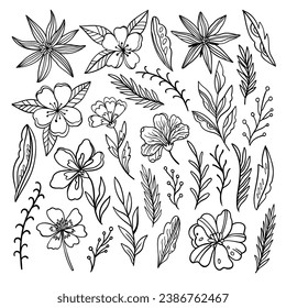 Outline contour doodle floral elements for design and coloring books. Vector illustration