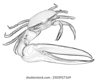 Outline of a crab with one huge claw made of black lines isolated on a white background.
