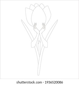 An outline of a crocus flower with hands in vector format for coloring activity