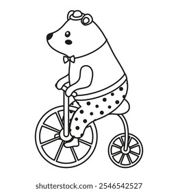 outline cute circus bear on bicycle, funny forest animal on retro bike in vintage costume isolated