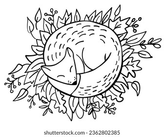 Outline cute fox asleep on leaves on while background. Vector illustration. Perfect for coloring book, postcard, greeting card, print.