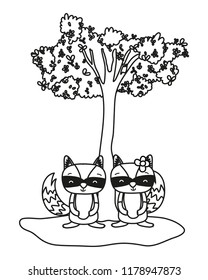 outline cute raccoon couple animal and tree