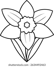 Outline of a daffodil flower on a white background. Use for spring holiday designs, coloring books, educational content, websites and social media.