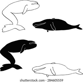 outline of a dead whale