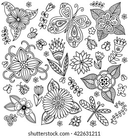 Outline decorative hand drawn elements in doodle style - flower and plants. Pattern for coloring book page.