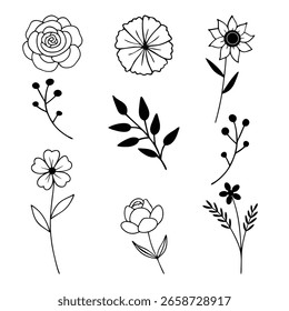 outline of different flowers and plants