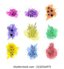 Outline of different kinds of flowers on the background of watercolor spots