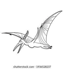 Outline Dinosaur Pterodactyl Illustration Suitable For Any Of Graphic Design Project Such As Coloring Book And Education