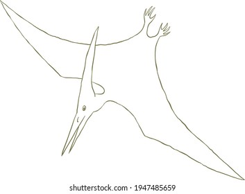 Outline dinosaur pterodactyloidea flies on a white background