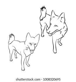 The outline of the dog on white background, breed husky