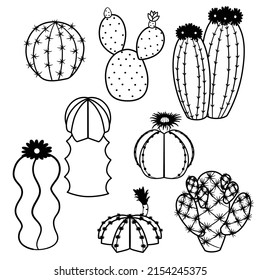 Outline doodle cactus. Hand drawn cactus black and white line art set. Vector illustration on white background in line style.