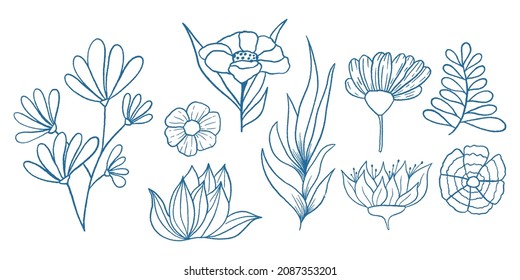 Outline Doodle Floral Botany Illustration Collection, Coloring Book