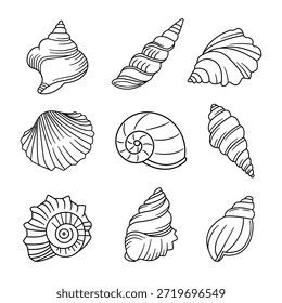 Contorno Doodle Ocean Shell, Caracol e Conch ilustração vetor