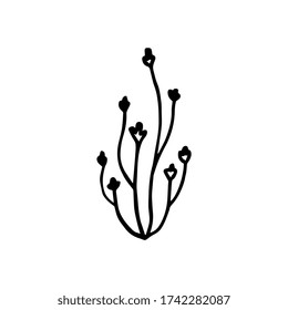 Outline doodle plant. Black Hand-drawn flower isolated on white background. Art nouveau style plant sign. Drawn Twisted Branch image. Herbal symbol of nature, summer, spring. Vector stock illustration