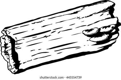 Outline doodle sketch of mushrooms growing on single rotting hollow log over white background