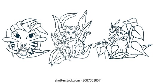 Outline Doodle Tigers Collection for Kids Educational, Coloring Book