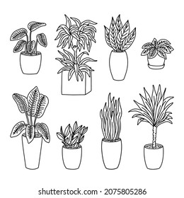 Rahmendoodle Vektorgrafik-Housepflanzensatz. Blumensammlung von Home Plant in Pot. Indoor Blumen mit Blättern. Inneneinrichtung. Naturkontur-Design-Elemente einzeln für Farbseiten, Postkarten, Web, Anzeigen