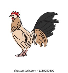 Outline draw chicken