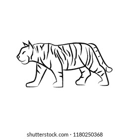 Outline draw tiger