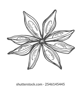 Outline drawing of an anise star. Spicy spice for coffee or mulled wine. Sticker. Icon. Isolate. EPS