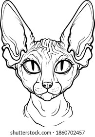 outline drawing of a bald thoroughbred cat