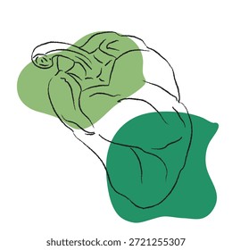 Dibujo de contorno para pimiento morrón, diseño, arte de línea de pimiento morrón, conjunto de pintura a mano, formato EPS, rama de pimiento morrón de Vector aislada. Vector ilustración de dibujos animados. Icono plano de una rama vegetal. Ilustración plana de pimiento. Una colección estilizada de Elementos planos de Vector en colores verdes