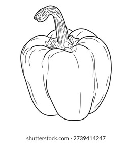 An Outline drawing for bellpepper, vector design, vector bellpepper line art, hand painting design set, EPS format, doodle hand drawn icon set, Outline drawing