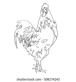 Outline drawing black line cock. Rooster symbol of the new year on the Chinese calendar