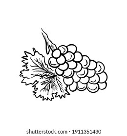 Umrisszeichnung eines Hundes von Weintrauben, Vektorgrafik einzeln auf weißem Hintergrund, Symbol und Symbol