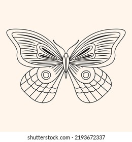 Outline drawing of butterfly. Line art vector insect with wings. Bohemian silhouette. Vintage boho illustration