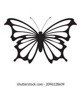 Outline drawing of butterfly. Vector illustration. Black line. Wings with a pattern.