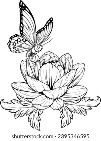 Outline drawing of butterfly. Vector illustration. Black line. Wings with a pattern.