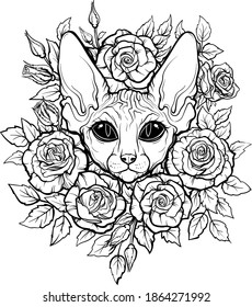 outline drawing of a cat in colors of roses